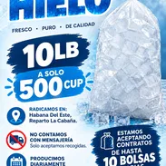Venta de bolsas de hielo!! - Img 58256391