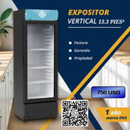 Expositor Vertical 13.3 pies (375 litros) - Img 55410130