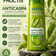 Shampoo Anticaspa Garnier (hoja de té verde) - Img 56534072