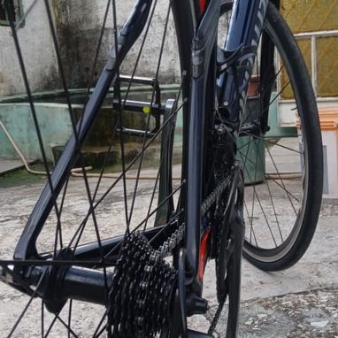Bicicleta profesional - 7/7