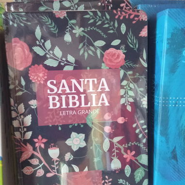 Biblias de letras grandes - Img 120433091