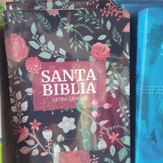 Biblia de letra grande - Img 54838830