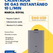 Calentador de Gas 10L/ min - Img 55364410