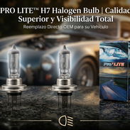 H7 halogeno PRO LITE 55w bombillos duraderos - Img 56411662