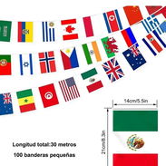Banderas de 100 países del mundo, 30 metros de longitud y 100 banderillas de 14X21 cm. - Img 55845347