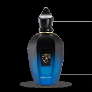 Perfumes 100% Originales en La Habana | Descubre Claar Essenza y Pide tu Catálogo - 8/9
