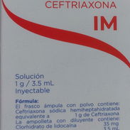 Rocefim, Ceftriaxona 1g contiene la ampolleta con diluyente que contiene lidocaina - Img 50375017