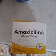Amoxicilina - Img 52442660