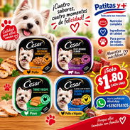 Comida de Perro - Img 57518876