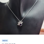 Cadena de plata con Huella de perro con piedra azul - Img 58079092