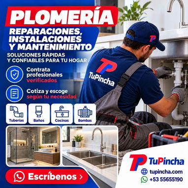 Albañil, Brigadas, Pintura e Impermeabilización en La Habana | Profesionales Verificados - 3/7