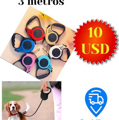 Collar, Shampo y jabón antipulgas, correas con pechera y retractil - Img 98178630