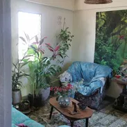 Dos casas en El Cerro🏘️ - Img 55420246