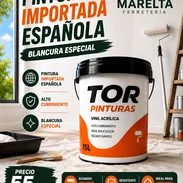 La Pintura Vinil Acrílica Blanca TOR de 15 litros ofrece una excelente cobertura, alto rendimiento y un acabado uniforme - Img 56330714