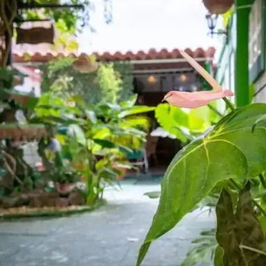 🎯 Varadero. Te invitamos a una estancia inolvidable en nuestra hermosa casa, ideal para grupos de hasta 8 personas. - Img 117261849
