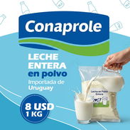 Leche entera en polvo - Img 55739808