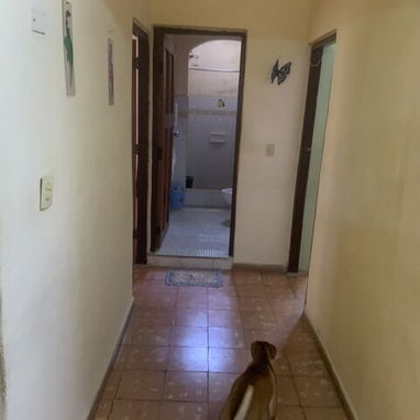 Venta o compraventa (interior) - Img 127780168