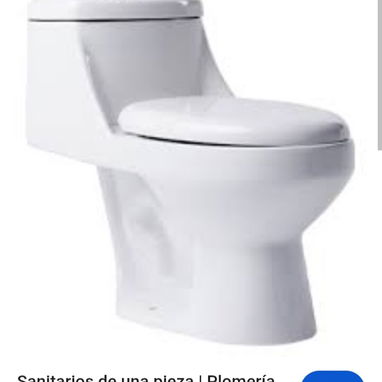 tasa Monolítica 1 Sola pieza sanitaria selectiva con su herraje completo y tapa sanitaria - 2/2