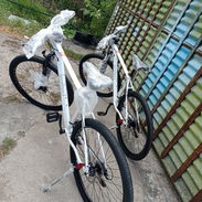 Bicicleta montañera aro 19 - Img 54349570