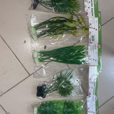 Artículos para peceras y/o acuarios tropicales. Peces. - 10/10