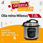 Olla Reina de botón Milexus - Img 51387994