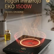 Inflarojo i Induccion - Img 56406812