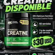 Creatina ON Optimum Nutrition 60 servicios - Img 57829498