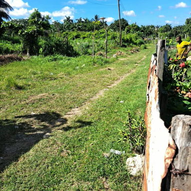 Venta de casas - Img 124385773