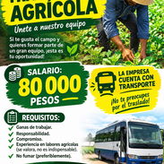 Buscamos trabajador agricola - Img 58086624