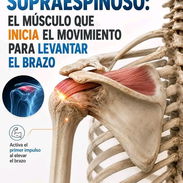 Fisioterapeuta - Img 57628421