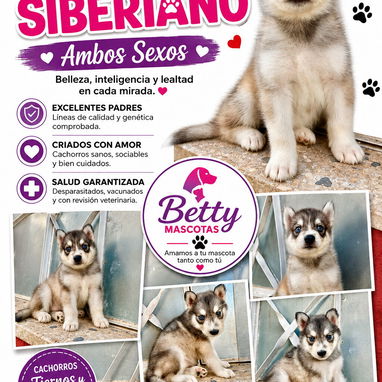 🐾 CACHORRITOS DISPONIBLES BETTY MASCOTAS WHATSAPP 52506841 🐾 - 2/9