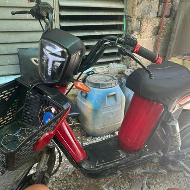 Se vende bisimoto - Img 124492967