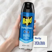 Raid mosquito - Img 58176824