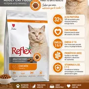 Pienso para Gato - Img 57031644