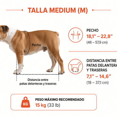 Silla de Ruedas para Mascotas/ Vevor Talla M - 4/5