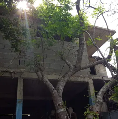 Vendo casa que son tres apartamentos unidos. - Img 28523405