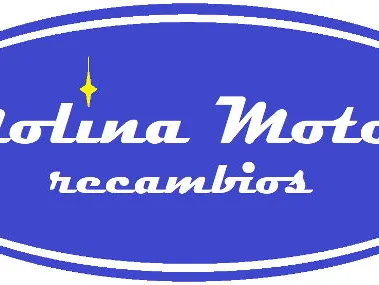 Aceites y Liquidos Automotriz (MolinaMotorRecambios) Pagos: VARIOS - Img 67190243