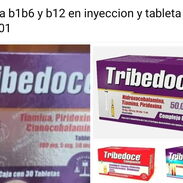 Tribedoce vitamina b1 b6 b12 , 10usd o equivalente en mn - Img 43765990