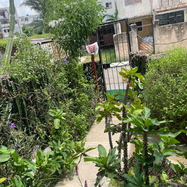 Se vende apartamento en bajos en Alamar - 8/10