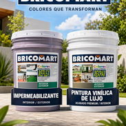 Pinturas importadas para embellecer su hogar - Img 55157239