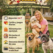 ✨️CONFORT RENTALS ✨️ ‼️El arte de hospedarte bien ‼️ - Img 55857306