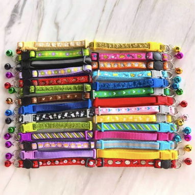 Collares para perros - Img 117551600