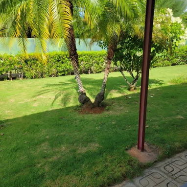 💥💥Casa ubicada cerca del Pedregal 💥wattssap 55432935 de 1700 mtr2💥 solo dos casas en la cuadra precio 160 mil usd - 4/10