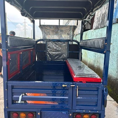 TRICICLO C600 CON CABINA Y PANEL SOLAR INCLUIDO - Img 124594275