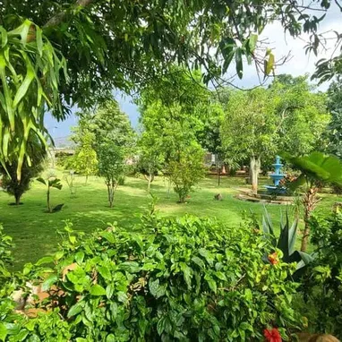 Finca de lujo en la lisa ( Arroyo Arenas ) - Img 119886602