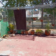 Venta de casa Biplanta al lado del Puente Almendare .Vedado- Playa.#2 -Ida - Img 55482617