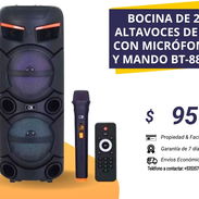 BOCINA DE 2 ALTAVOCES DE 8" CON MICROFONO Y MANDO BT-8810 - Img 57331955