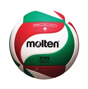 PELOTA DE VOLEIBOL MOLTEN PRO - Img 48608587