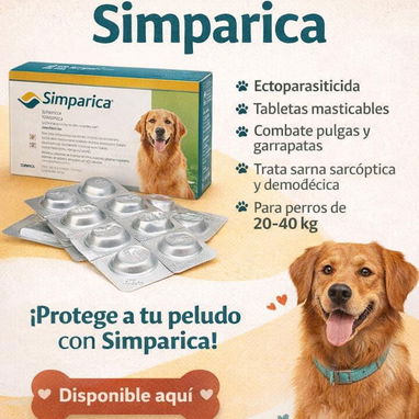 veterinaria a domicilio - Img 122675826