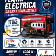 Planta eléctrica - Img 56948311